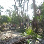 Destruction caused by Cyclone Giri on 22 October 2010 in a village east of Sittwe, Rakhine State, Myanmar. © MSF