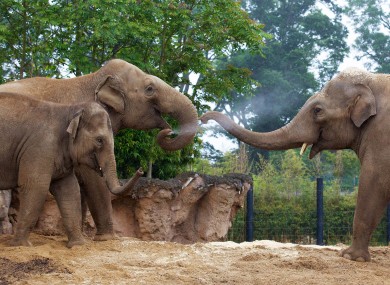 Family fun