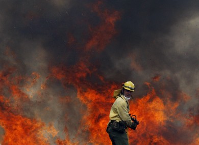 Firefighter tries to control a raging forest fire