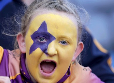 One Wexford fan at Croke Park yesterday.