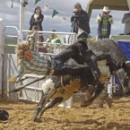A South African rodeo cowboy is thrown from a bull as he is riding in Malmesbury on the outskirts of Cape Town, South Africa. (Photo/Schalk van Zuydam)
