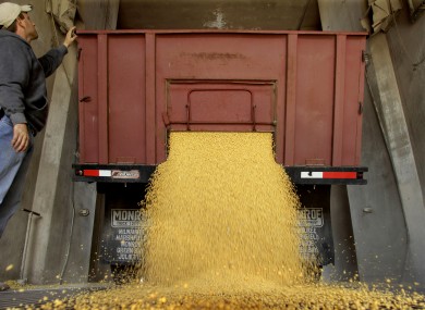 When will there be a harvest for the world?