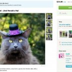 When you don't have opposable thumbs, life is hard. But on Halloween, cats can imagine they're a guitar God for one day of the year. So let them.
Via <a href=