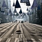 A stray dog takes advantage of the low traffic to cross an almost deserted boulevard during a spell of sunshine in Bucharest, Romania. (AP Photo/Vadim Ghirda)