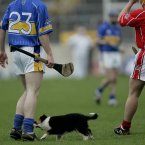 Tipperary's Conor O'Mahoney, enterting the game after being sprung from the bench, faces this opponent in Semple Stadium.