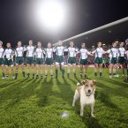 A stray dog joins in with the Irish players in observing the National Anthem in Pearse Stadium in Galway.