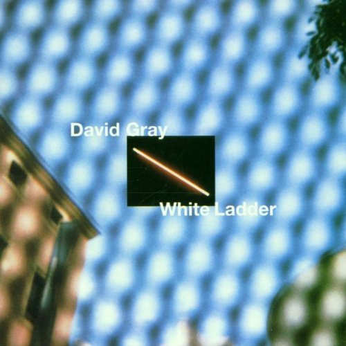 white ladder