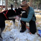 Angie Taggart tends to Carmack at the Rohn checkpoint in Alaska.